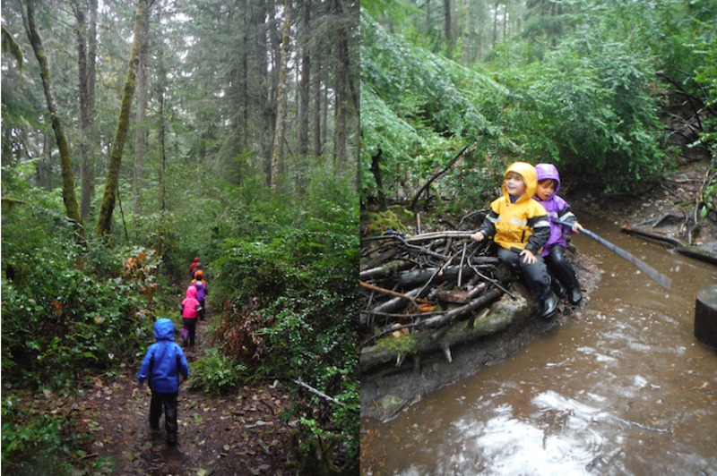 Maravillosas Fotos De Niños En Las Bosque Escuelas Que Están